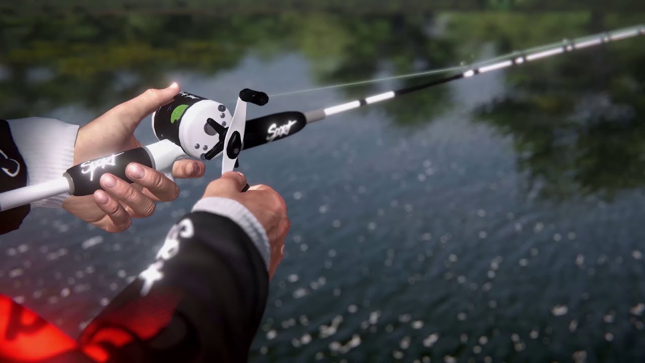 Caña de pescar premium